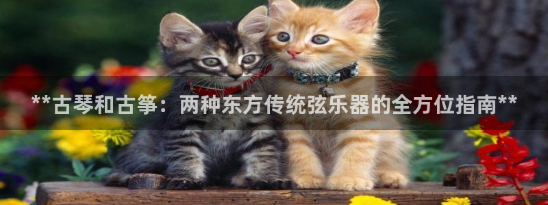 凯发官网入口首页