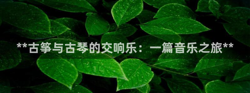 凯发手机官网客户端