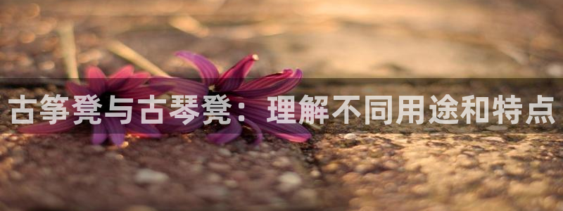 凯发网娱乐官网国际