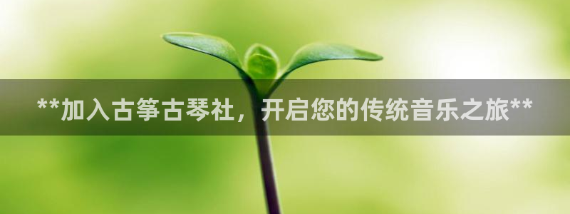 凯发国际平台官网
