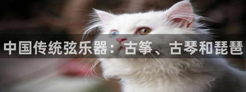 凯发娱乐官方网