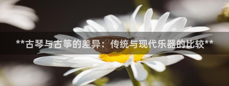 凯发官网网址多少
