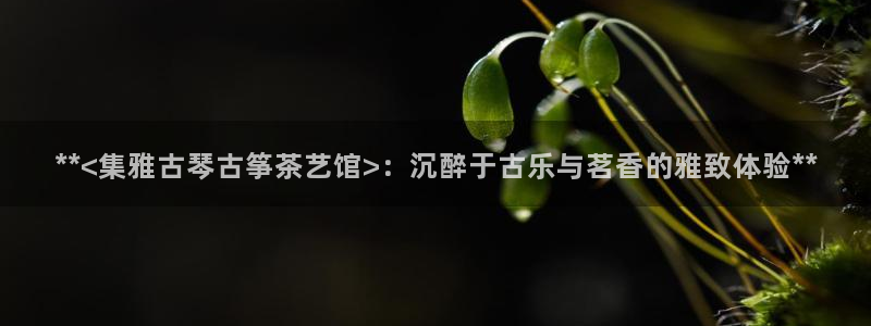凯发国际是什么