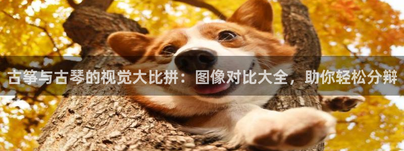 凯发平台网址