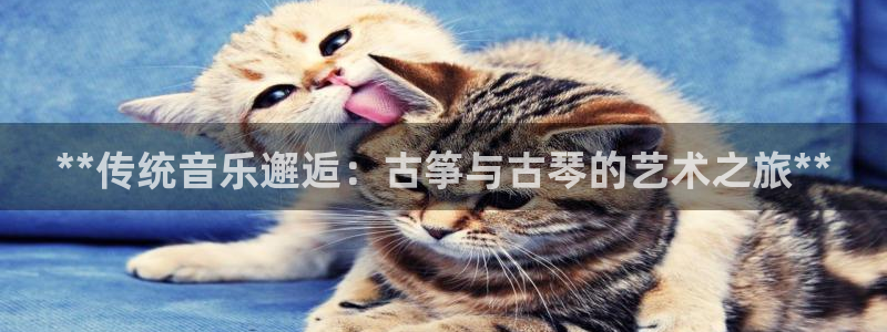 凯发娱乐k8国际