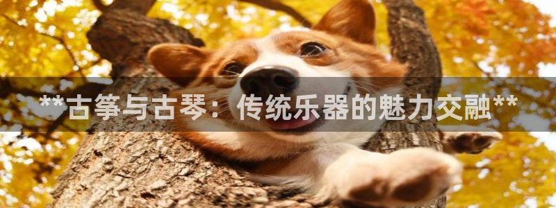 凯发官网入口首页