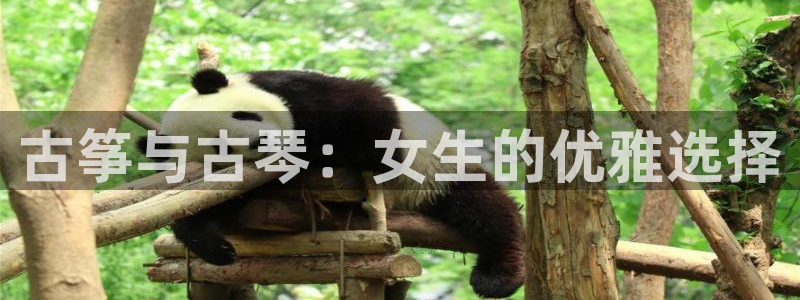 凯发k8国际真人娱乐旗舰厅