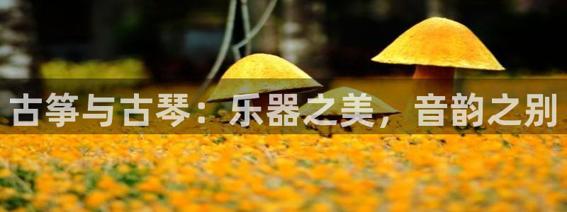 凯发k8娱乐欢迎您