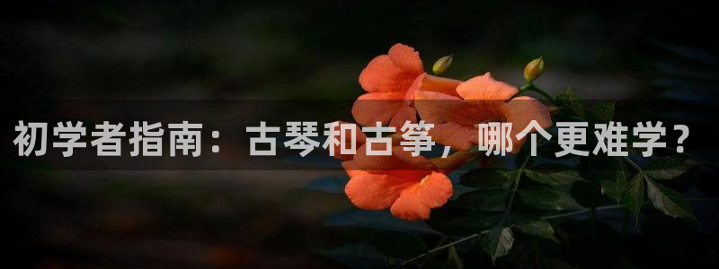 凯发娱乐官网登录