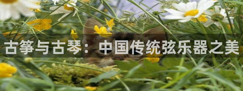 凯发app平台