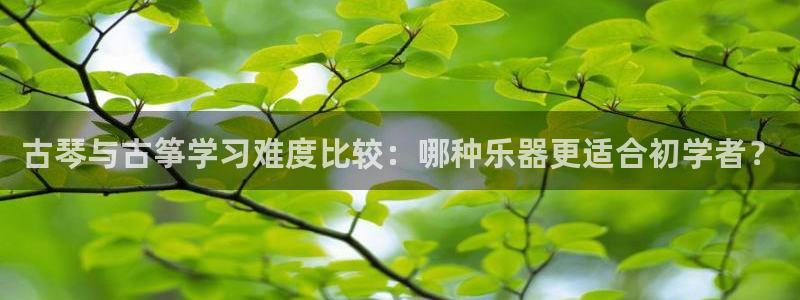凯发国际平台登录不上