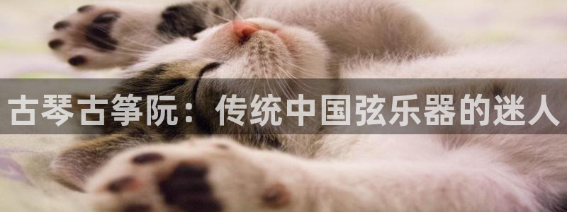 凯发官网登录手机版