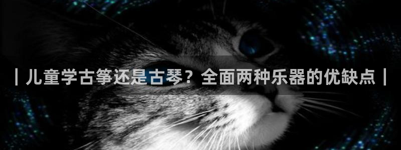 凯发k8娱乐平台网址