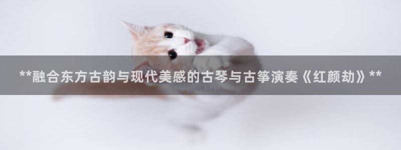 凯发k8娱乐官网入