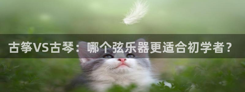 凯发k8国际下载