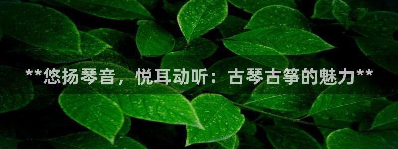 凯发k8娱乐|k808.vip