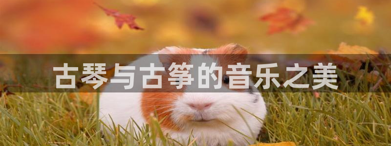 凯发k8娱乐官方下载
