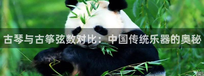 凯发k8娱乐官网网址中心