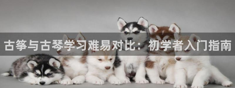 ks8凯发官方网站