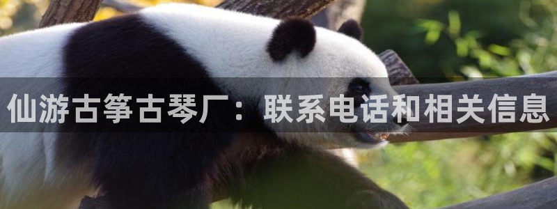 凯发k8娱乐手机版官网