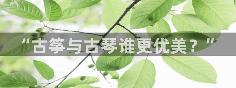 凯发k8娱乐平台下载