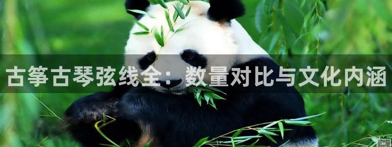 凯发国际亚洲有限公司