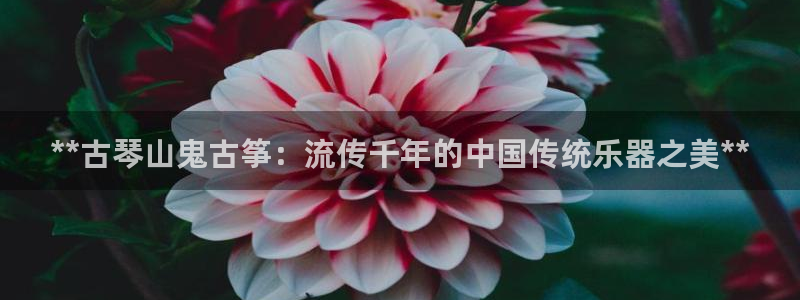 凯发国际是什么投资平台