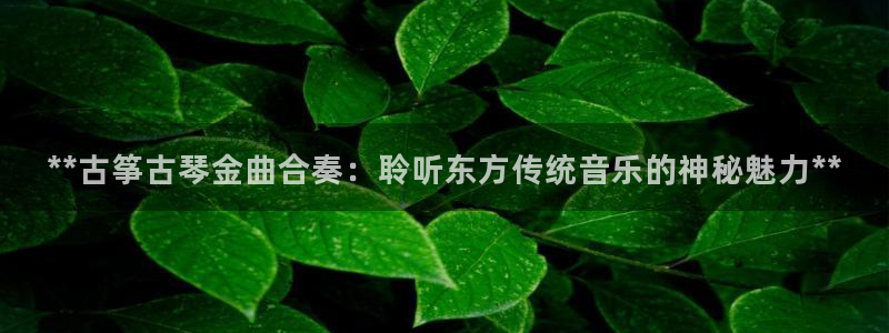 凯发官网手机app