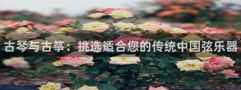 凯发娱乐唯一官网