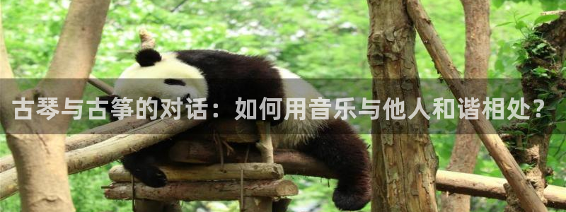 凯发国际app下载
