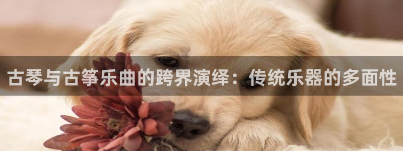 凯发k8娱乐欢迎您：古琴与古筝乐曲的跨界演绎：传统乐器的多面