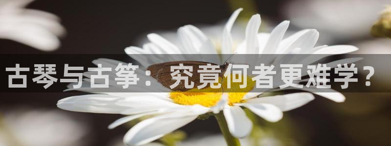 凯发app地址
