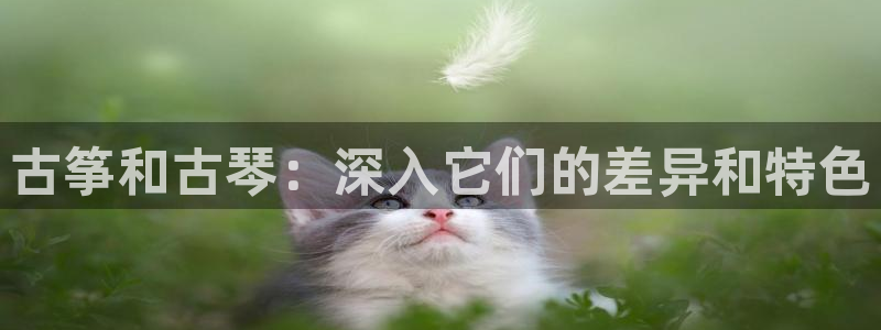 凯发平台轻7O777