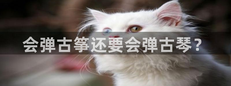 凯发手机app官网