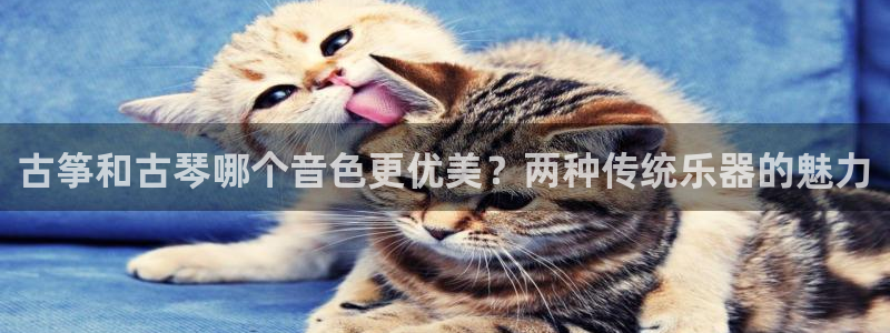 凯发官网地址