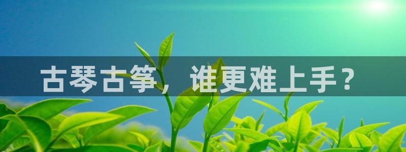 凯发平台8：古琴古筝，谁更难上手？