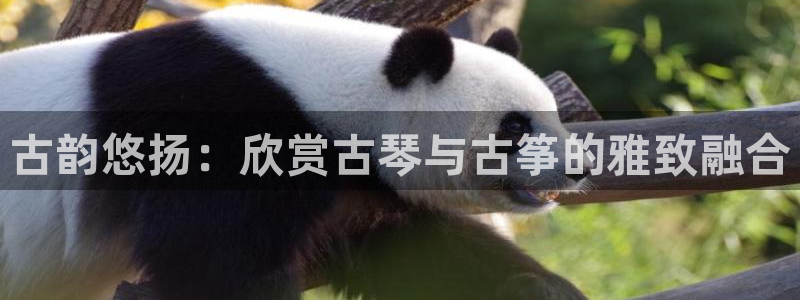 凯发k8官方网娱乐官方真