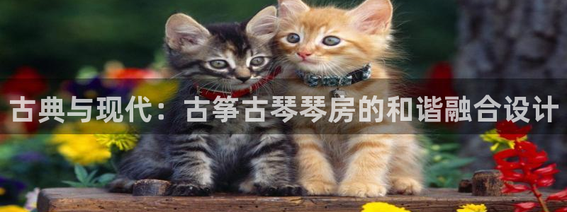 凯发网网站