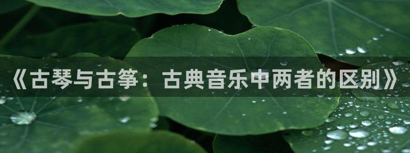 凯发线上app苹果版下载
