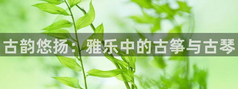 凯发k8娱乐官方版fxzls -安卓3.5