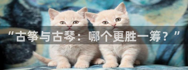 凯发k8官方