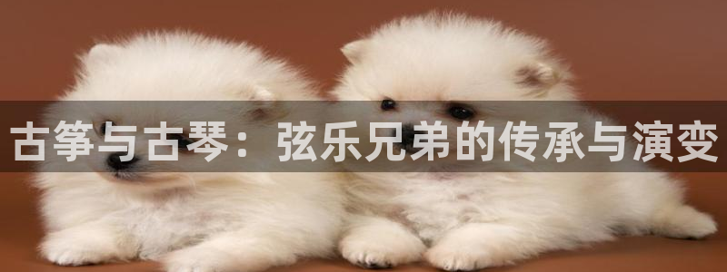 凯发国际是什么