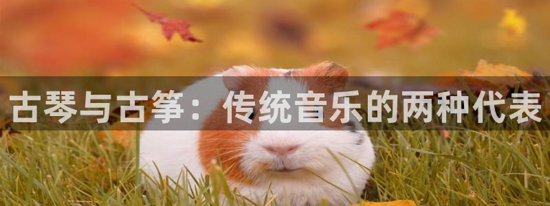 凯发a600丶cc官网首页