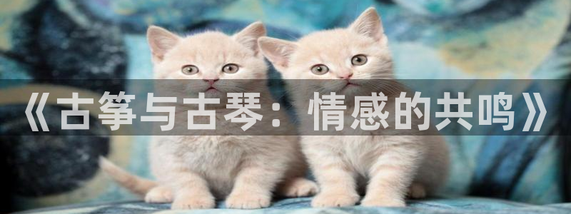 凯发线上app苹果版下载：《古筝与古琴：情感的共鸣》