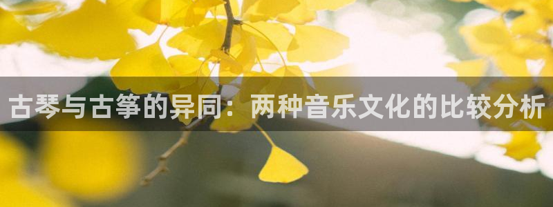 凯发k8国际手机网页：古琴与古筝的异同：两种音乐文化的比较分