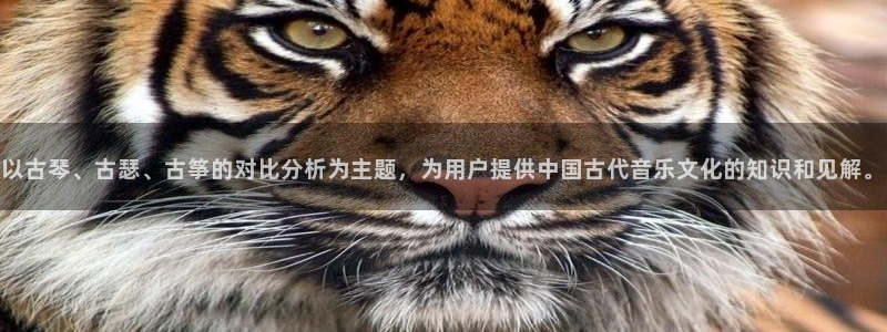 凯发官网地址：以古琴、古瑟、古筝的对比分析为主题，为用户提供