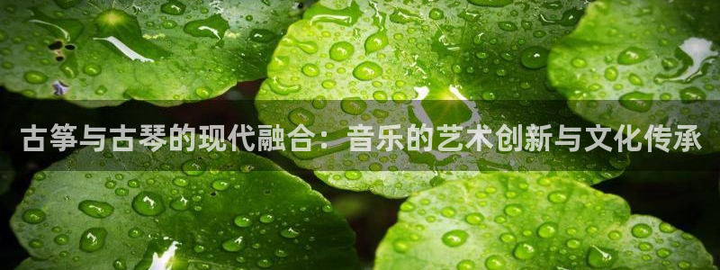 凯发k8娱乐旗舰：古筝与古琴的现代融合：音乐的艺术创新与文化
