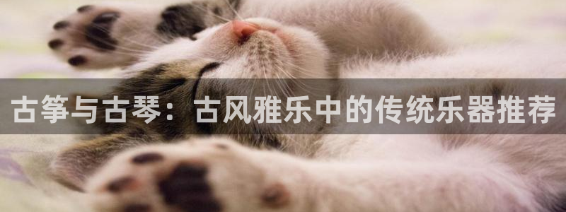 凯发k8娱乐是国内平台?