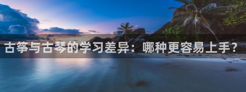 凯发国际真人：古筝与古琴的学习差异：哪种更容易上手？