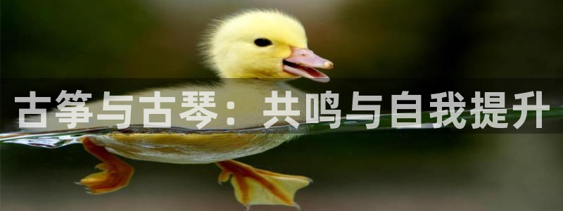 凯发k8娱乐官网地址app下载 | 首页